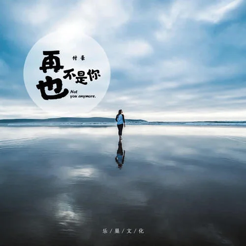 再也不是你-付豪