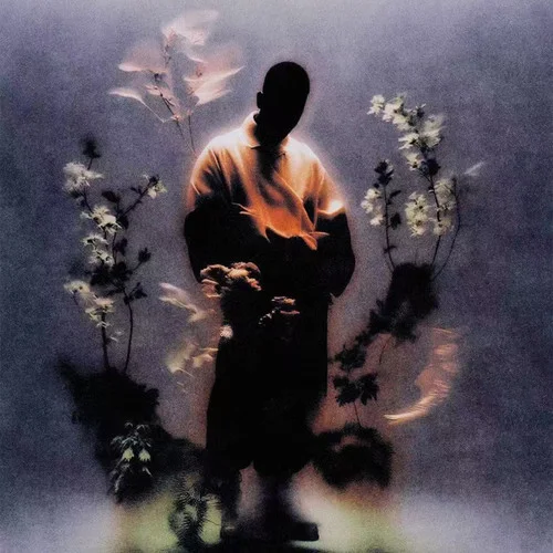 King(王者歸來)-VodKe&HSHK