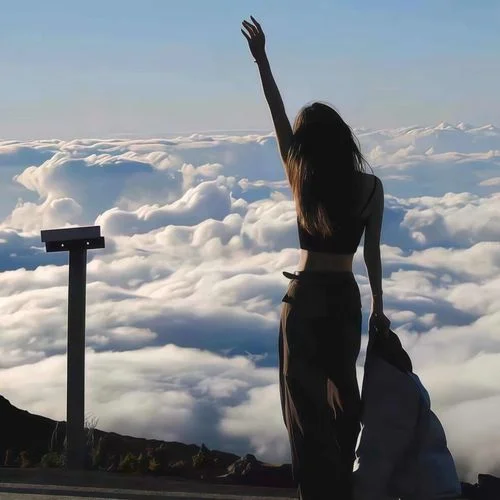 刀馬 刀馬 (高燃Phonk)-@風(fēng)信子