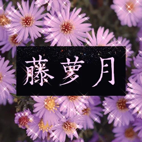 藤蘿月-徒有琴&河圖