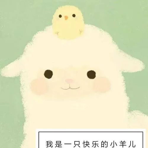 Gloves 2 Ali-宗靈靈