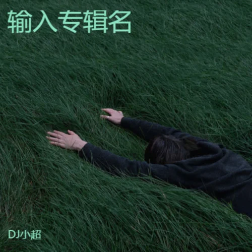 其实其实(氛围版) (cover: 哈基咪)-DJ小超