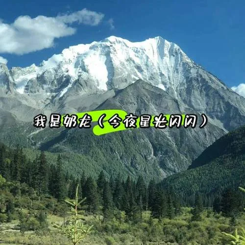 我是奶龍 (今夜星光閃閃)-十六的月