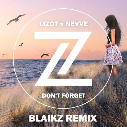 Don’t Forget(Blaikz Remix)-LIZOT&Nevve&Blaikz