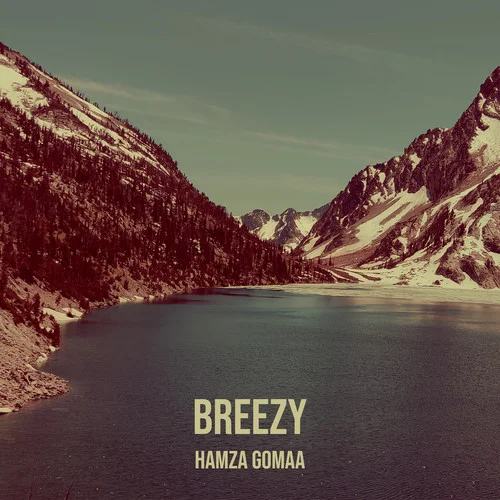 Breezy-Hamza Gomaa