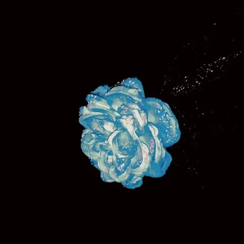 祈禱（讓我們敲希望的鐘?。?大頭針 Official