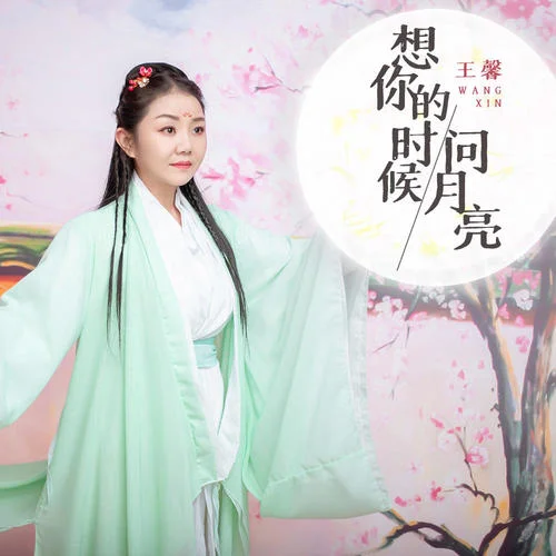 想你的时候问月亮-王馨