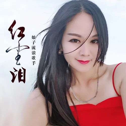 紅塵淚(DJ何鵬版)-娘子流浪歌手