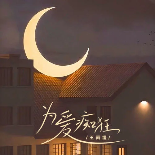 為愛癡狂(DJ小蔣版)-王雨縵