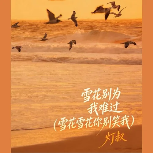 雪花別為我難過(guò)（雪花雪花你別笑我）-燈叔