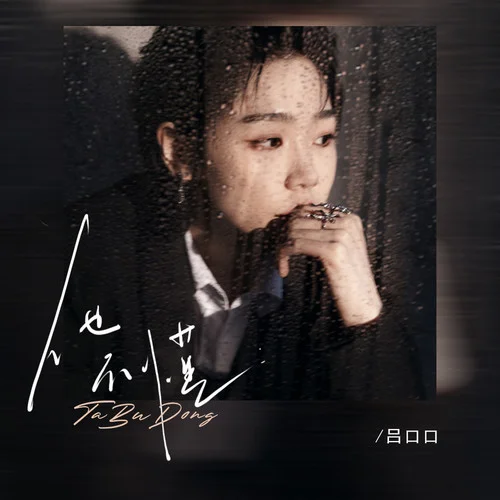 他不懂(女版)-吕口口