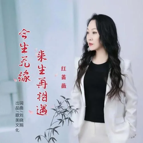 今生無(wú)緣來(lái)生再相遇-紅薔薇