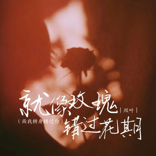 就像玫瑰錯過花期（而我轉(zhuǎn)身錯過你）-雙葉