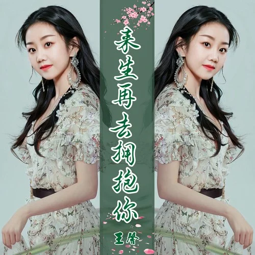 来生再去拥抱你 (伴奏)-王馨