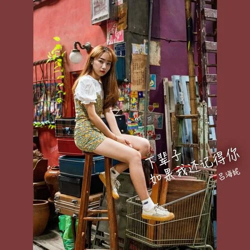 下辈子如果我还记得你-吕海妮