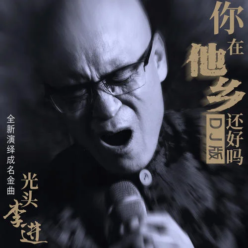 你在他鄉(xiāng)還好嗎(DJ默涵版)-光頭李進(jìn)