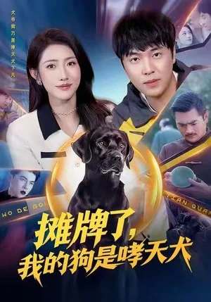 攤牌了，我的狗是哮天犬（98集）劉晨宇&張如意