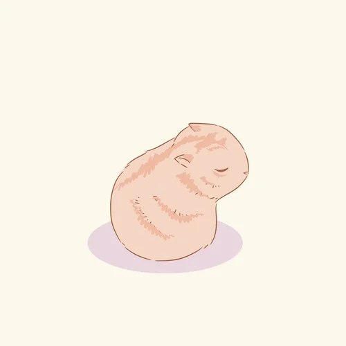 你永遠(yuǎn)活在我歌里沒過濾鏡-小黑