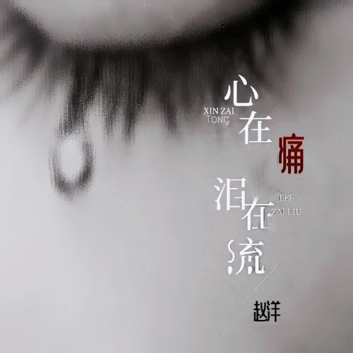 心在痛淚在流-趙洋