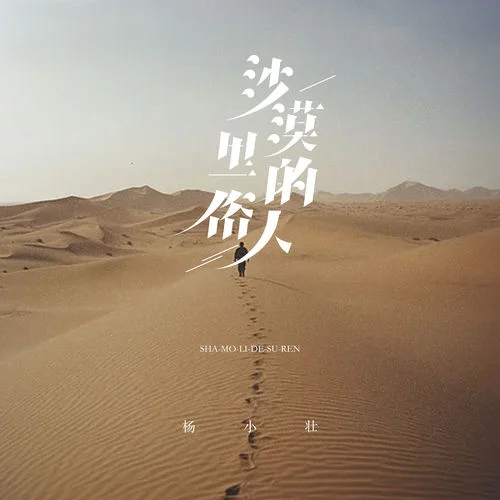 沙漠里的俗人-楊小壯