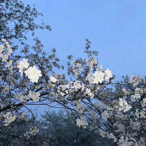 fantasy (3D環(huán)繞版純音樂(lè))-DJMOUN