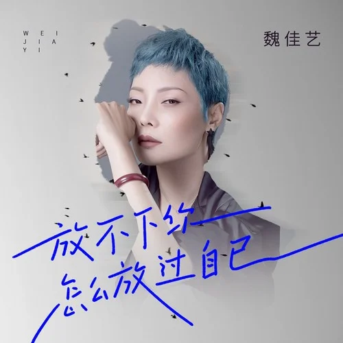 放不下你怎么放过自己-魏佳艺