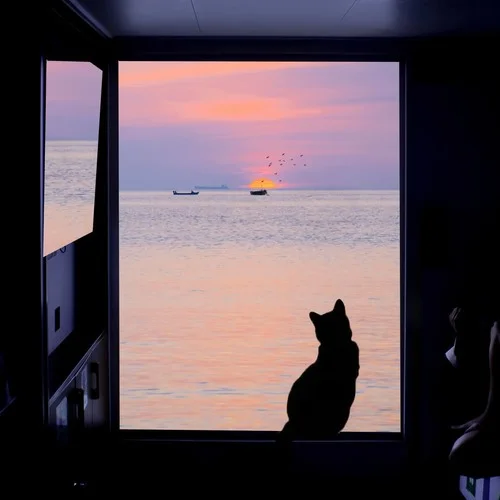 lonely（氛圍版）-Eddie Chen