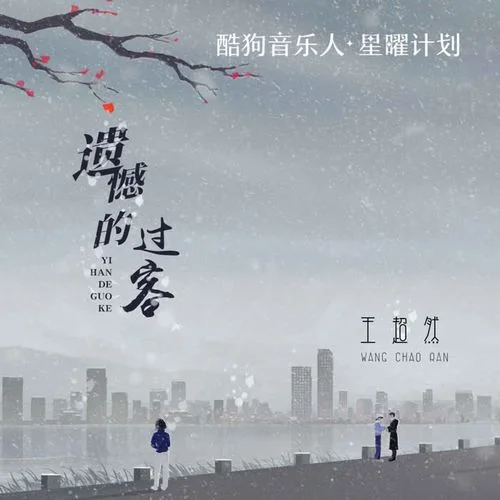 遗憾的过客-王超然