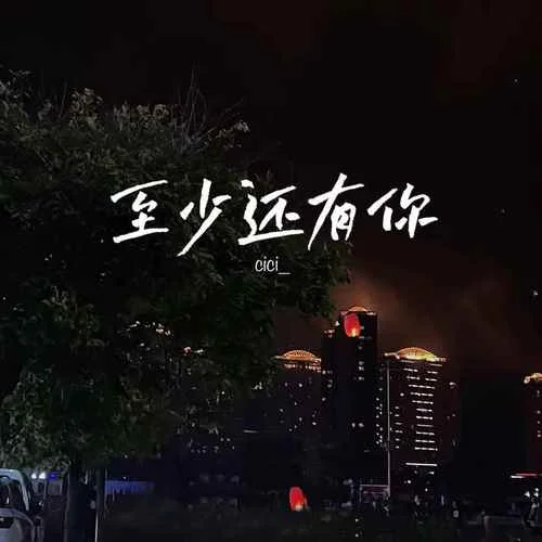 至少还有你(DJ版)-cici_