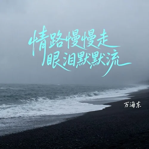 情路慢慢走眼淚默默流-萬海東