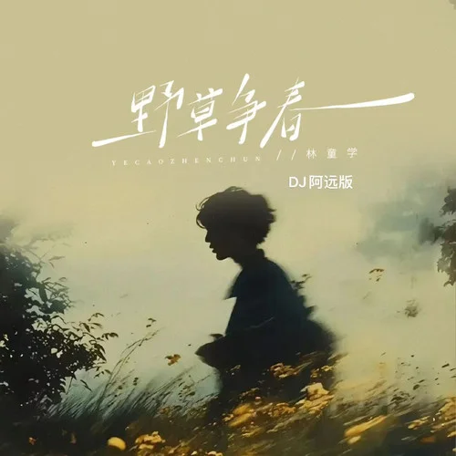 野草爭春 (DJ阿遠版)-林童學