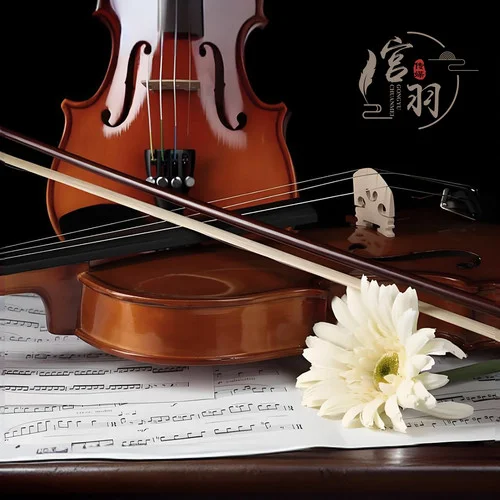 舒伯特：小夜曲 (古典小提琴輕音樂)-kammycat