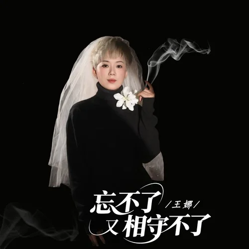 忘不了又相守不了-王娜