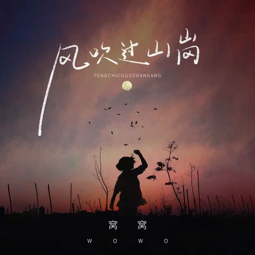 風(fēng)吹過山崗 (DJ九零版)-窩窩