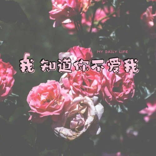 我知道你不愛我（DJ北風(fēng)版）-DJ 北風(fēng)