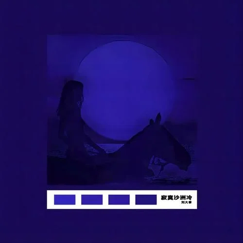 寂寞沙洲冷(女声治愈版)-刘大拿