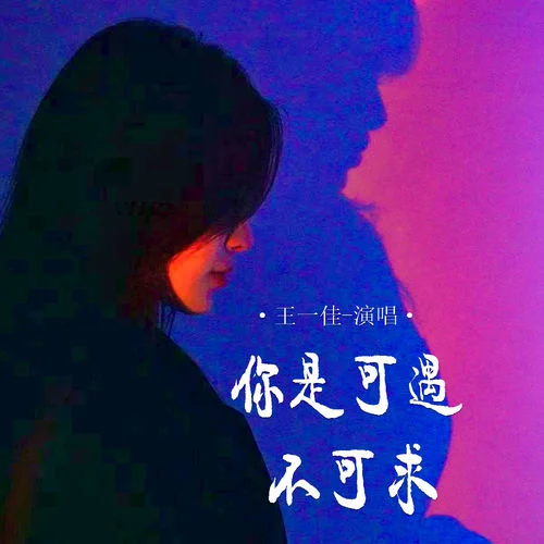 你是可遇不可求-王一佳