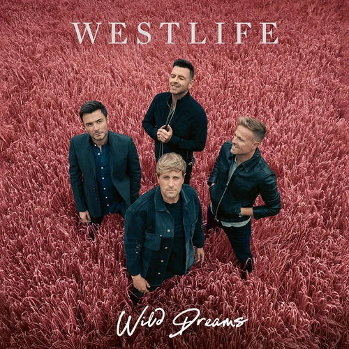 Do You Ever Think Of Me-Westlife