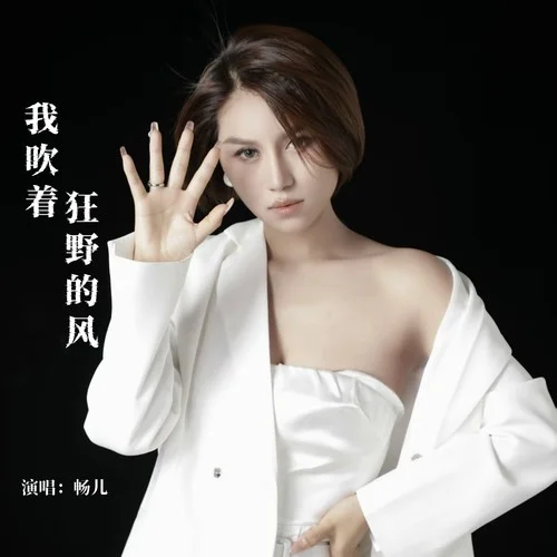 我吹着狂野的风（DJ彭锐版）-畅儿