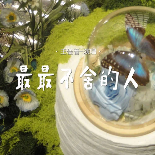 最最不舍的人-王佳音