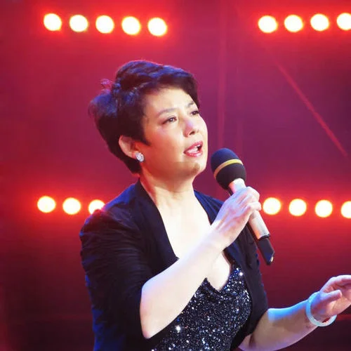 枉凝眉 (純音樂)-陳力