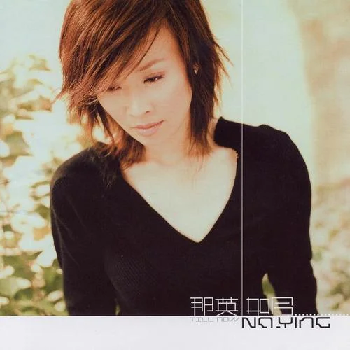 愛(ài)上你等于愛(ài)上寂寞-那英