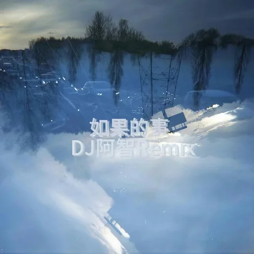 如果的事(DJ阿智remix)-DJ阿智