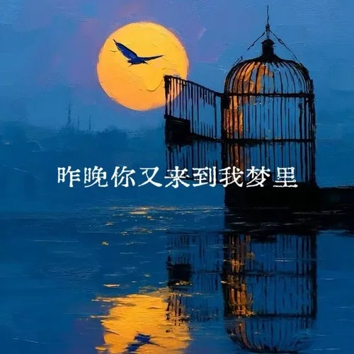 昨晚你又来到我梦里-祥勒勒.