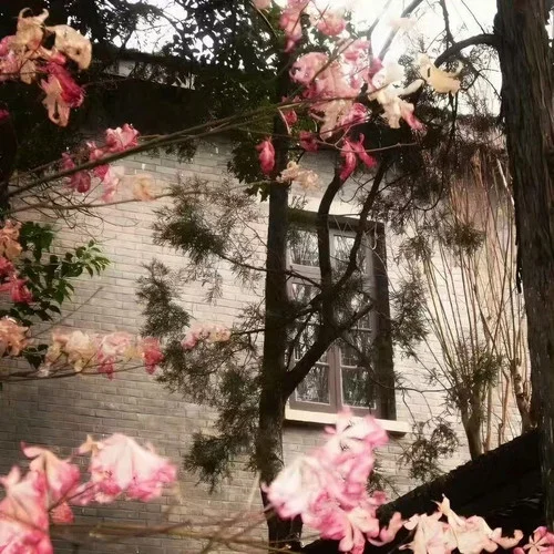 讓秘密開(kāi)成花落地 (加速版)-汪居北