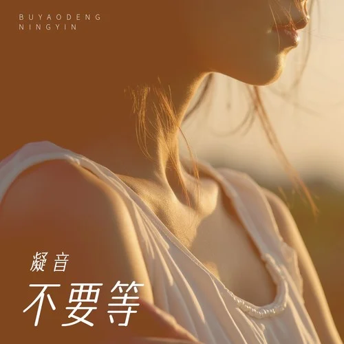不要等-凝音