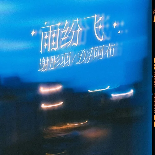 雨紛飛 (分飛DJ阿布版)-阿布&謝彤羽