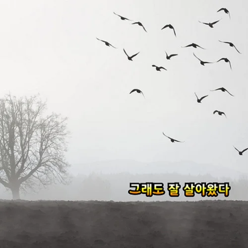 그래도 잘 살아왔다-용이