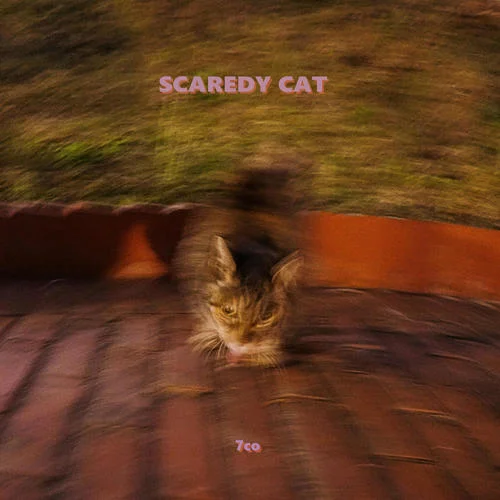 SCAREDY CAT-7co