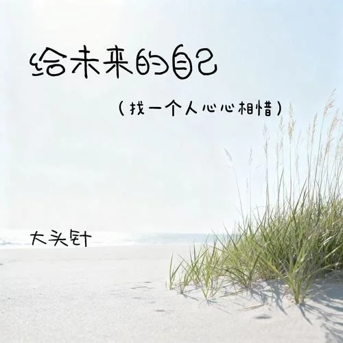 给未来的自己（找一个人惺惺相惜）-大头钉